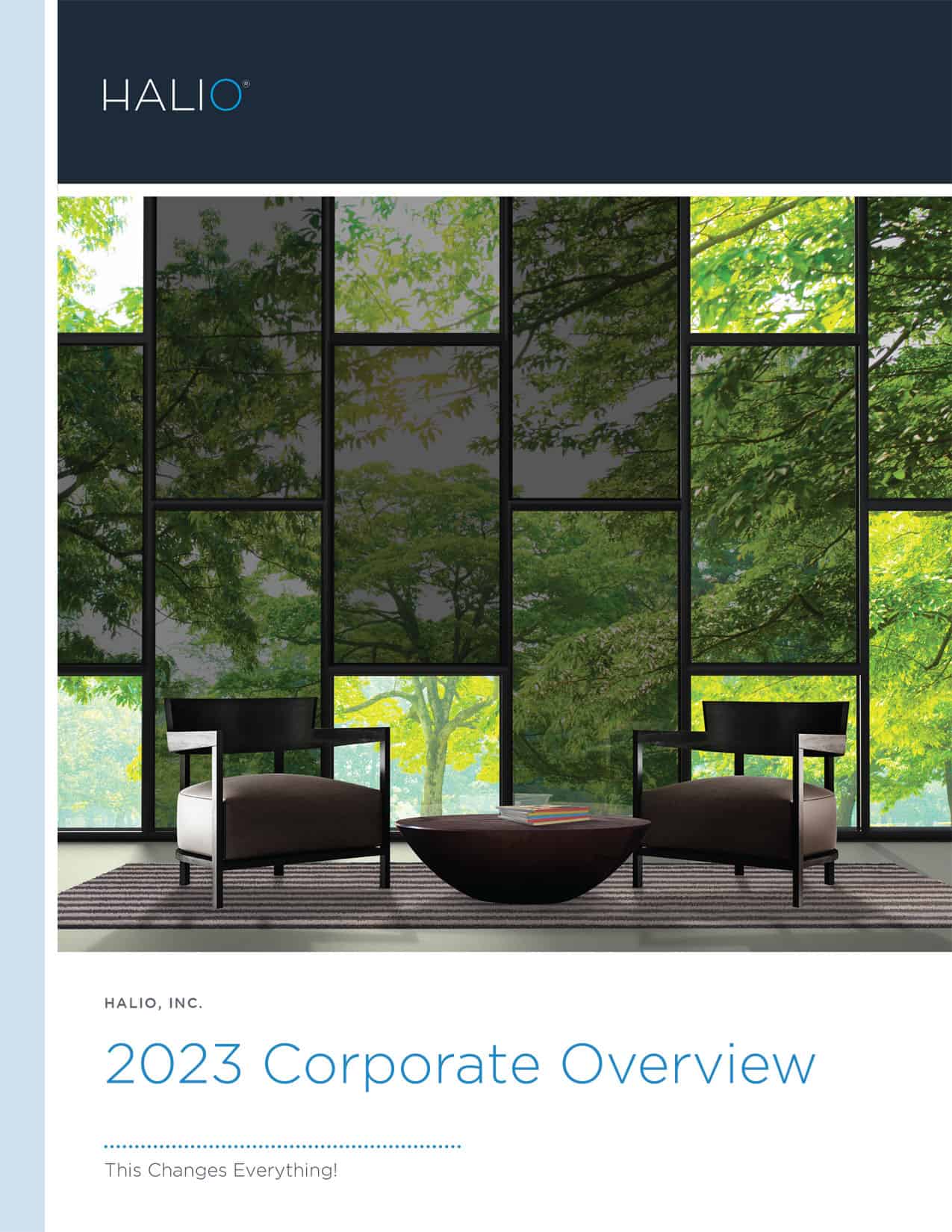 Corporate Overview 2023